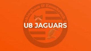U8 Jaguars