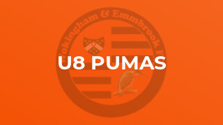 U8 Pumas