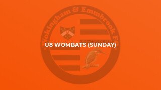 U8 Wombats (Sunday)