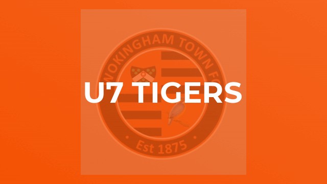 u7 Tigers