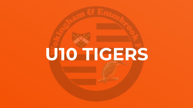 U10 Tigers