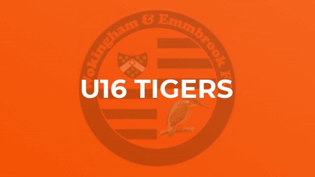U16 Tigers