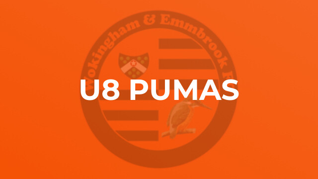 U8 Pumas