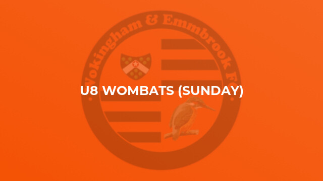 U8 Wombats (Sunday)