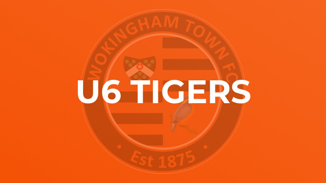 U6 Tigers