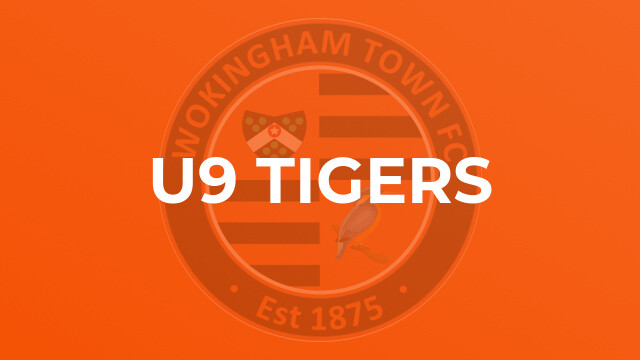 U9 Tigers