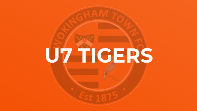 u7 Tigers