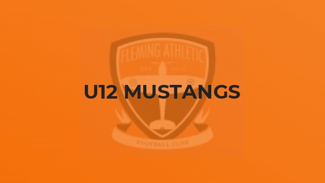 U12 Mustangs