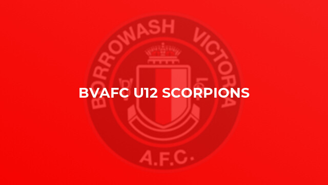 BVAFC U12 Scorpions