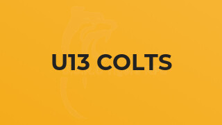 U13 Colts