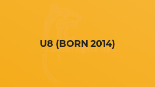 U8 (born 2014)