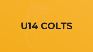 u14 Colts