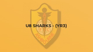 U8 Sharks - (Yr3)