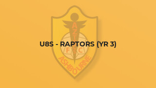 U8s - Raptors (Yr 3)
