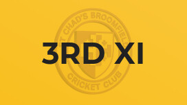 3rd XI