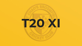 T20 XI