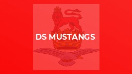 DS Mustangs
