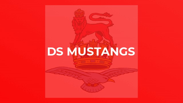DS Mustangs