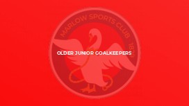 Older Junior Goalkeepers