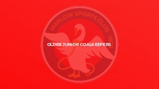 Older Junior Goalkeepers