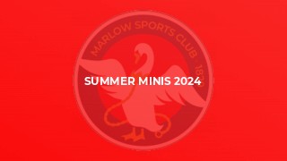 Summer Minis 2024