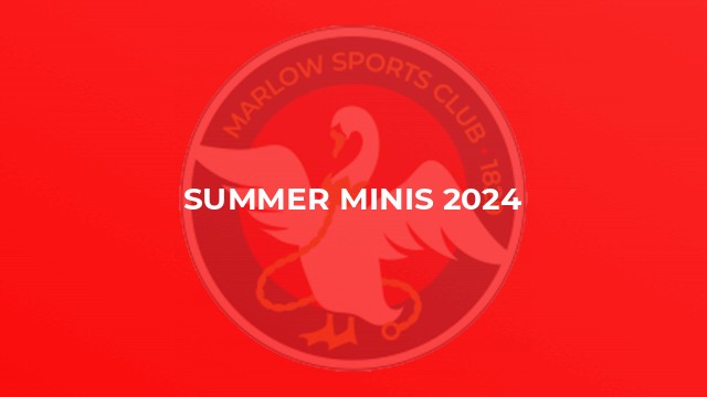 Summer Minis 2024