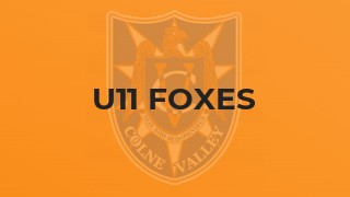 U11 Foxes