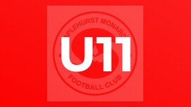 U11