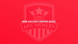 Mini Soccer Centre (MSC)