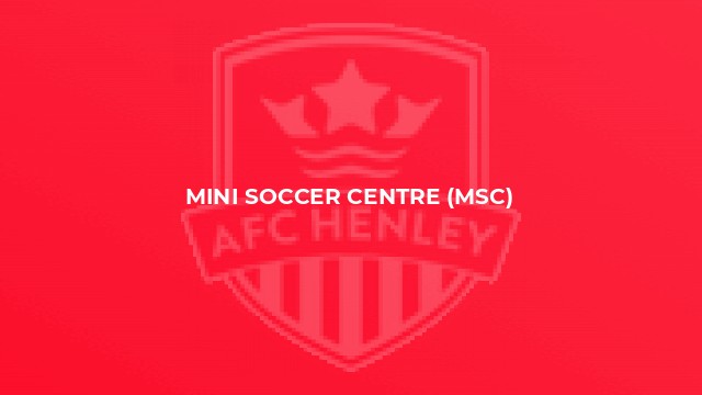 Mini Soccer Centre (MSC)