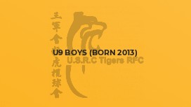 U9 Boys (born 2013)