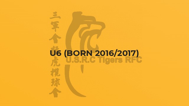 U6 (born 2016/2017)