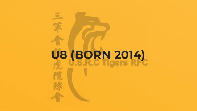 U8 (born 2014)
