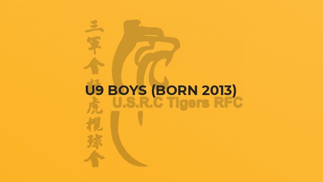 U9 Boys (born 2013)
