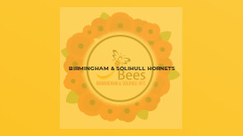 Birmingham & Solihull Hornets