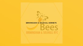 Birmingham & Solihull Hornets
