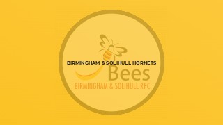 Birmingham & Solihull Hornets