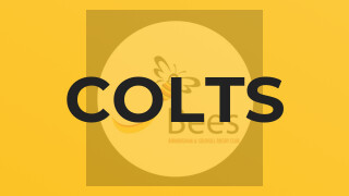 Colts