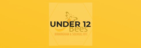 Bees under 11s vs Moseley