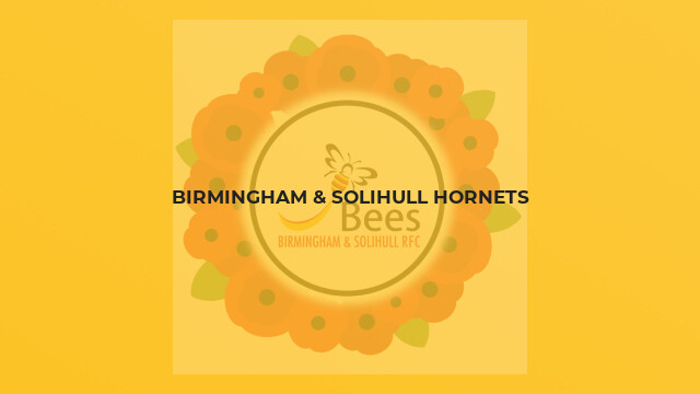 Birmingham & Solihull Hornets