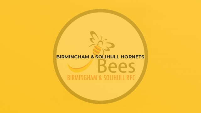 Birmingham & Solihull Hornets