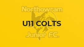 U11 Colts