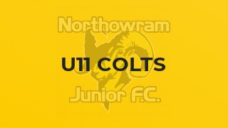 U11 Colts