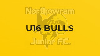 U16 Bulls