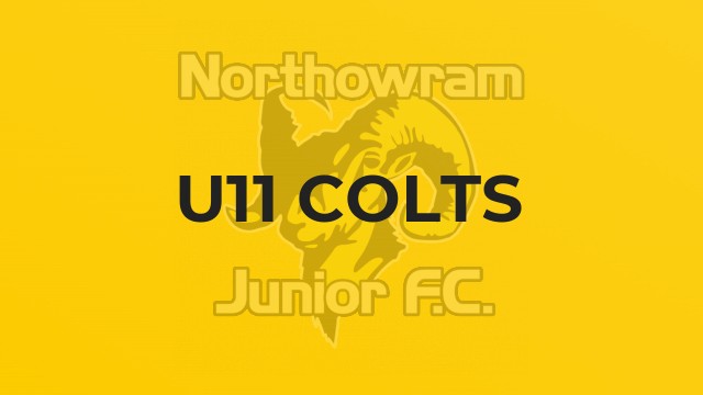 U11 Colts