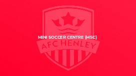 Mini Soccer Centre (MSC)