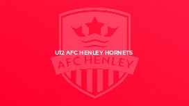 U12 AFC Henley Hornets