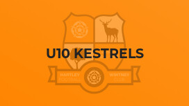 U10 Kestrels