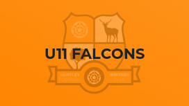 U11 Falcons
