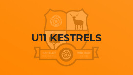 U11 Kestrels